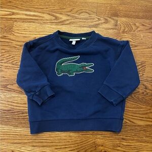 Kids Lacoste Sweatshirt